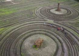 Uniek tuinontwerp met circulaire bloem- en boomvormen in een veld.