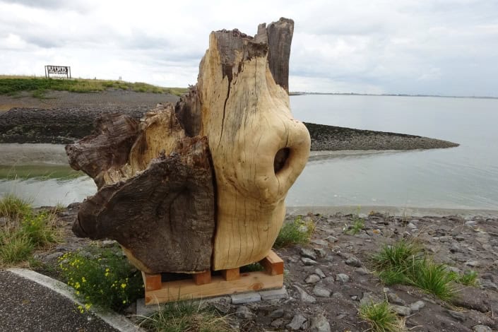Houtbeeld ontstaat uit een grote boomstam op een strand.